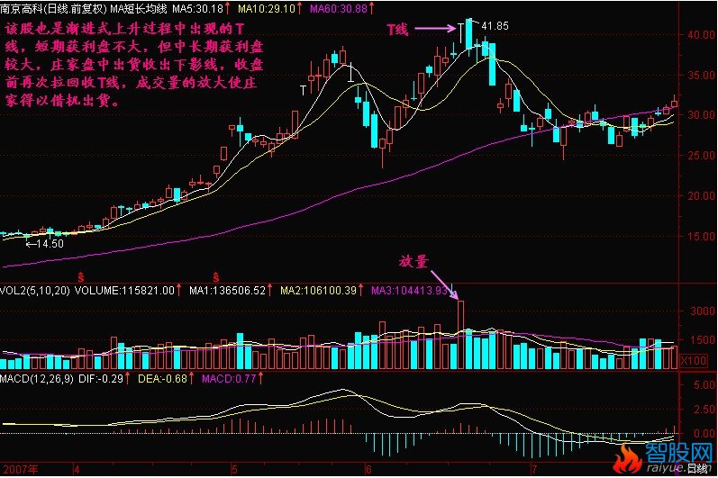 T线形成头部的意义