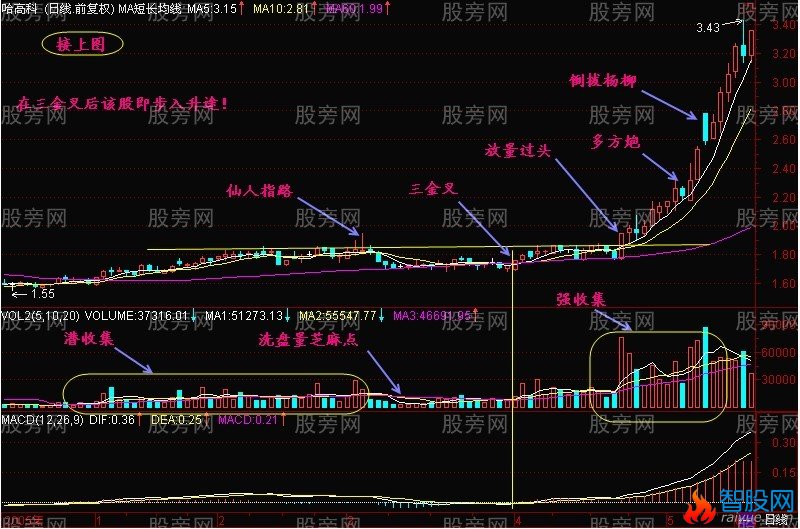 三金叉抓住上扬行情