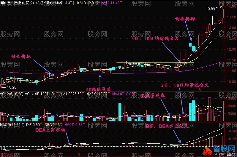 三金叉抓住上扬行情