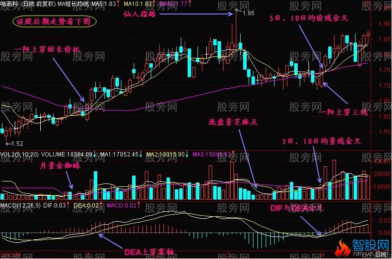 三金叉抓住上扬行情